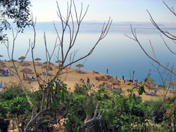 Dead Sea shoreline.